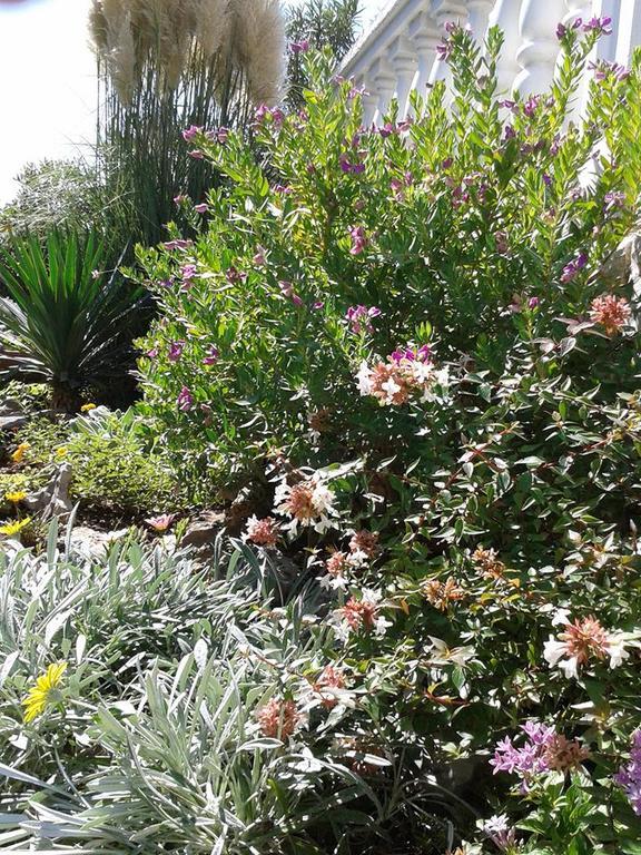 וודיצה Gulin Apartments מראה חיצוני תמונה